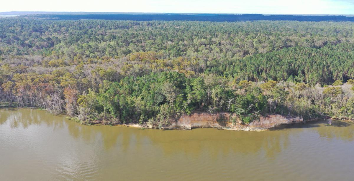 The 十大彩票网投平台 holds the easement to 60 acres adjacent to Historic Blakeley State Park along the Tensaw River. 房地产, 另外还有30多个,在亚拉巴马州和密西西比州的农村地区，面积达1000英亩, 可以被南方学院用于研究和教学吗. 